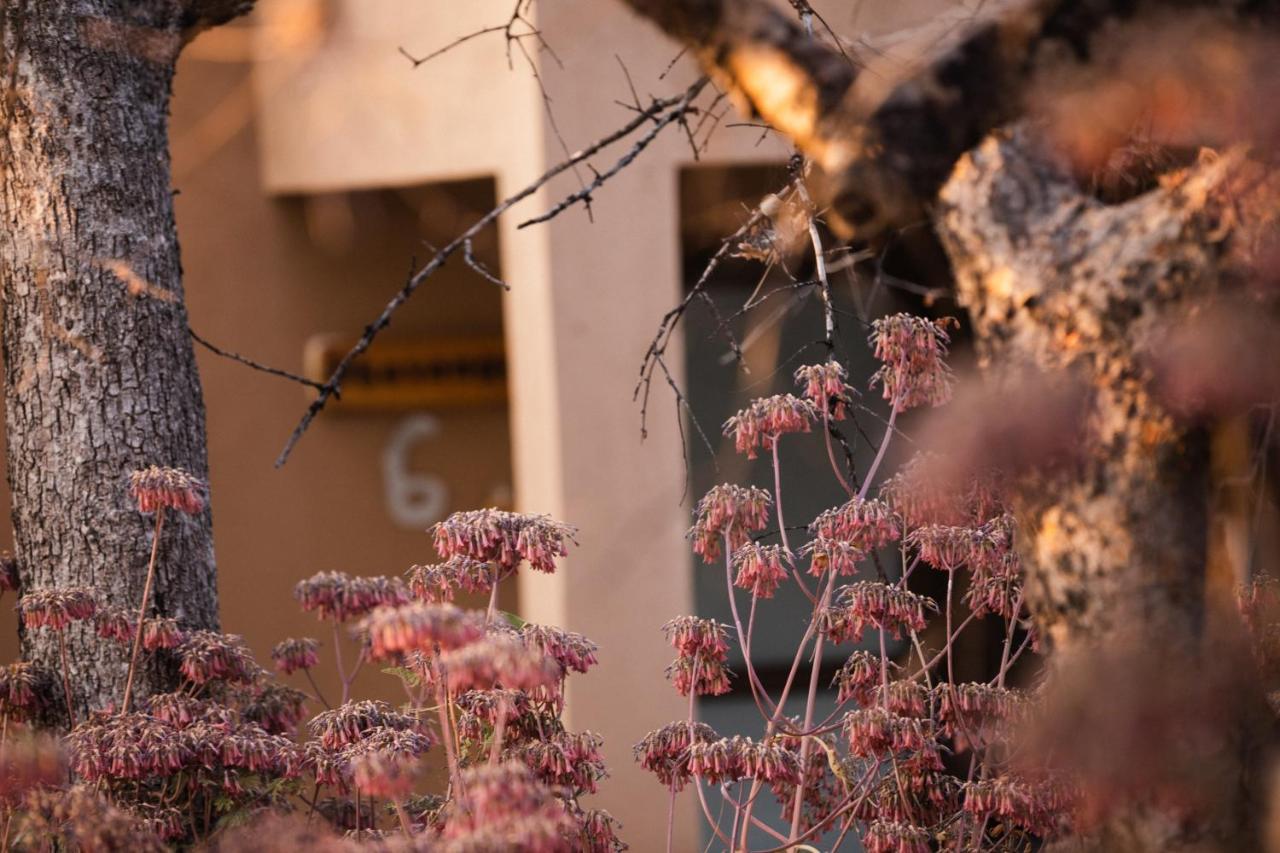 Toshari Lodge Okaukuejo Bagian luar foto